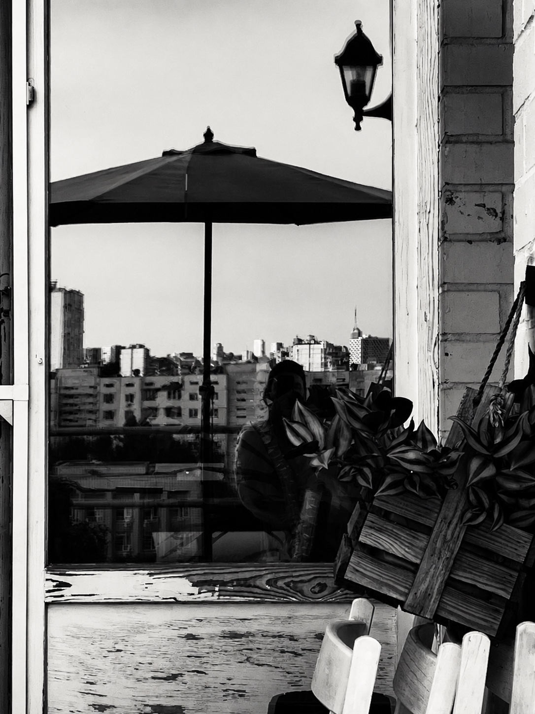 Black-and-white Kyiv window view with plants and city reflection